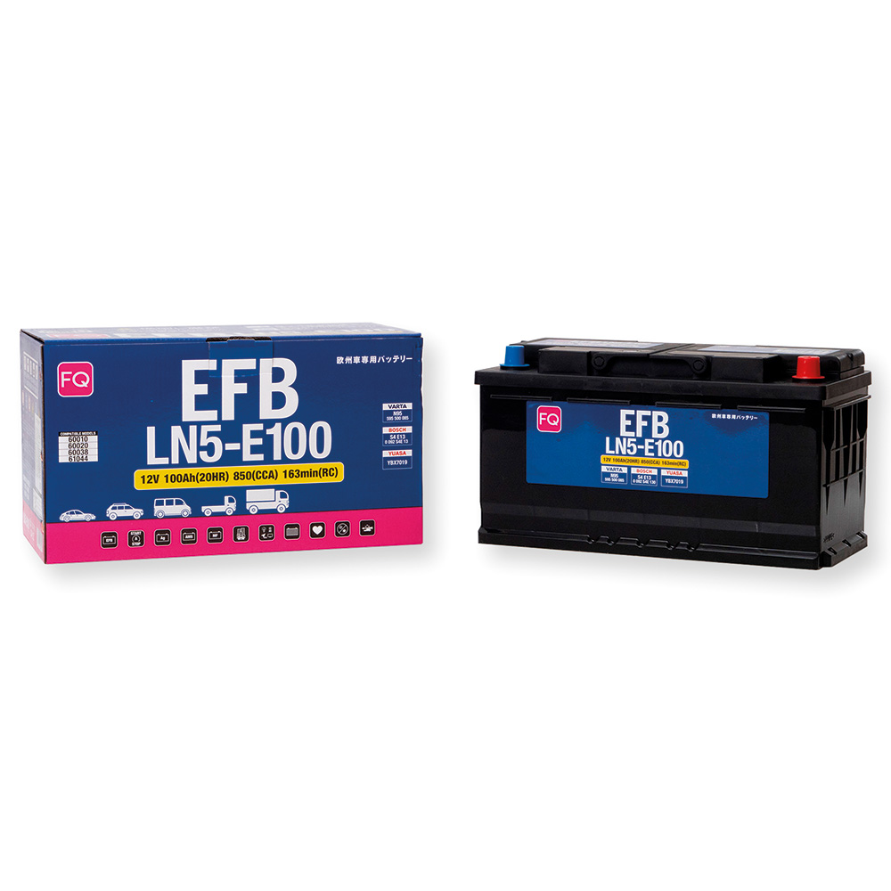 Аккумулятор FQ DIN EFB LN5-E100 100Ah